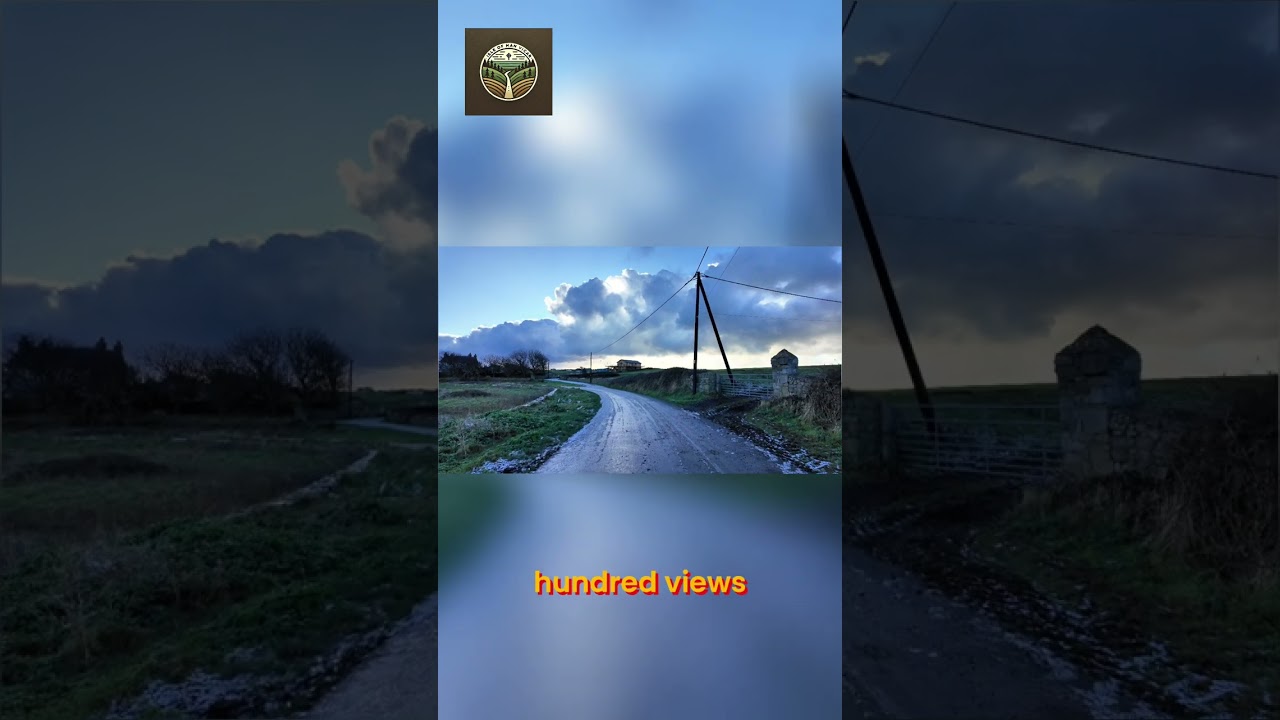 From 300 to 50,000 Views: My Viral Facebook Growth Strategy 