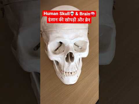 वीडियो: खोपर्सकी रिजर्व किसके लिए जाना जाता है?