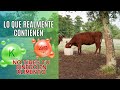 &quot;Importancia de las Sales Minerales Proteicas para Bovinos en Pastoreo 🐄🌱&quot;