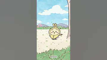 CHIIKAWA USAGI S SINGING Shorts 