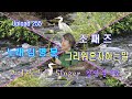 그리워 혼자 하는 말 조째즈 마지막 썸머 OST Cover By 김명분 가사