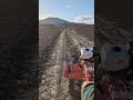 Viata la sate in Romania