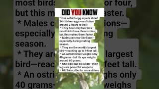 6 incredible facts about ostriches that will surprise you! 🤯