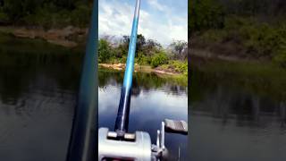 សប្បាយៗបបកត្រី