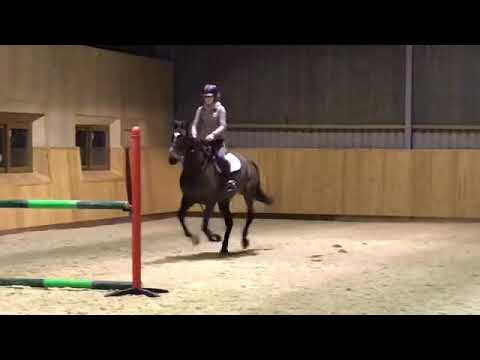 Bungowla Lucy Lou training at Alder Lake Farm 10/03/19