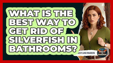 What Is The Best Way To Get Rid Of Silverfish In Bathrooms? - Insects and Invaders