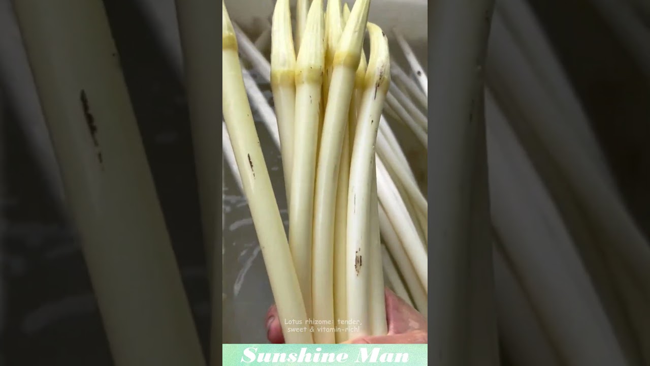 Lotus rhizome: tender, sweet & vitamin-rich! 