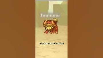 Dachsbun COUNTERS Koraidon #competitivepokemon #gen9 #pokemonshowdown