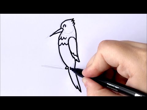 Video: Kako Nacrtati Leteću Pticu