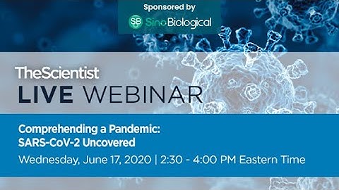 Comprehending a Pandemic   SARS CoV 2 Uncovered