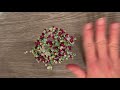 End of video