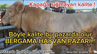 Bergama Hayvan Pazarı Güncel Fiyatlar/Böyle kalite görülmedi/Pazar coştu/İhale ile dana satıldı.🐂🐑