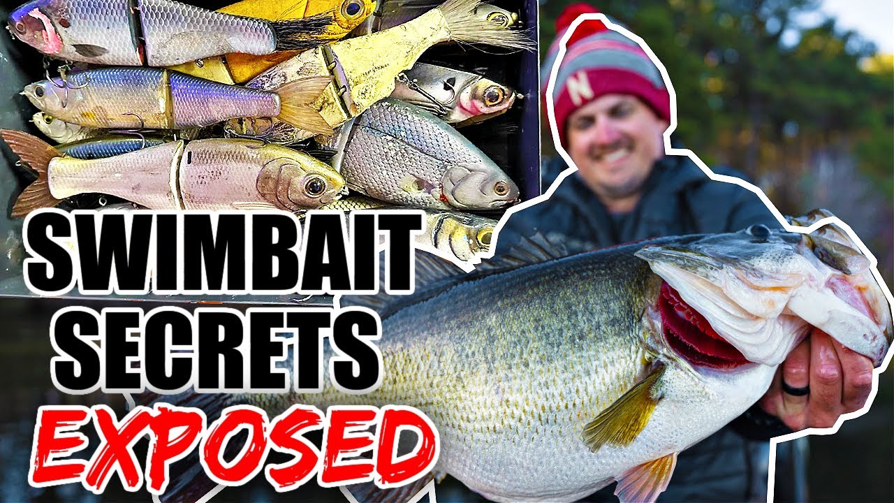 The Swimbait Fishing Secrets I NEVER should have shared….