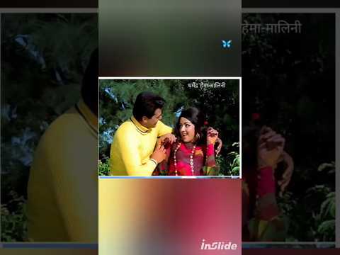 6aug2025saamne Mai Sabke Naam Usska Nahimohdrafi Song Dharmendra Shortvideo Shorts 6aug2025saamne Mai Sabke Naam Usska Nahimohdrafi Song Dharmendra Shortvideo Shorts