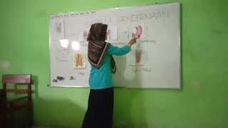 Pelaksanaan pembelajaran siklus 1 pertemuan 1 PKP  model Picture and Picture  Haniah 836880843