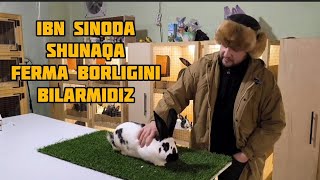 : BU FERMANI EGASI KIM BO'LISHI MUMKUN ZO'R FERMA 976380001 #quyon #quyonboqish #