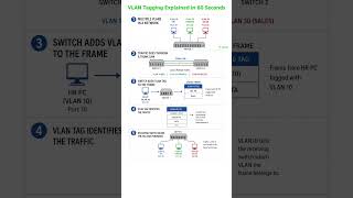 VLAN Tagging Explained in 60 Seconds CCNA Basics #shorts #vlan #networkingbasics #firewallbasics