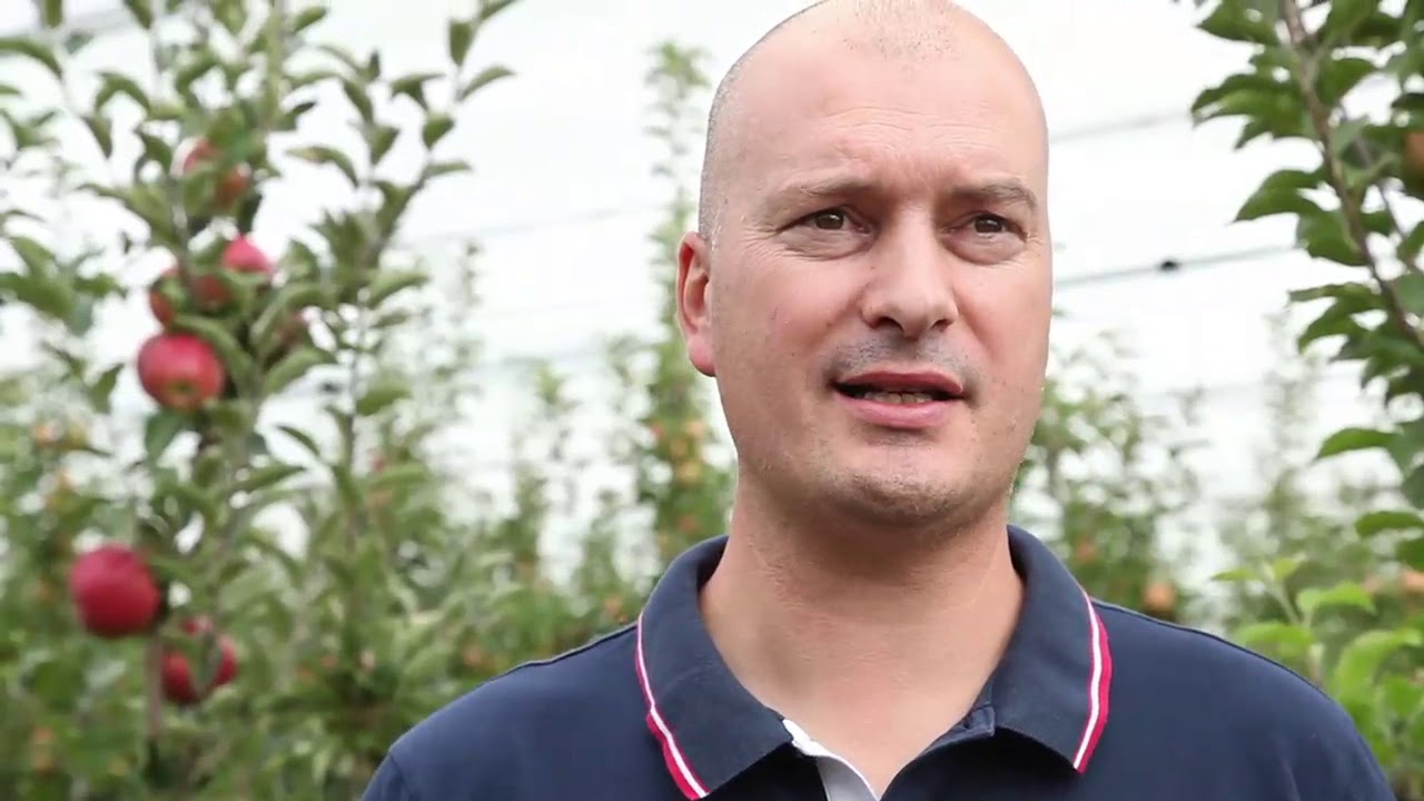 Pascal Pineau Arboriculteur Dans Le Maine Et Loire Youtube