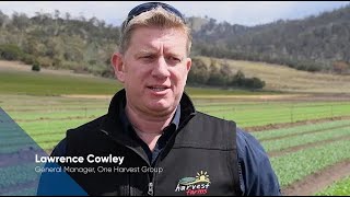 Zorvec Enicade Growing Reputations - Leafy Veg - Lawrence Cowley