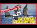 Камчатка. На "Алмазе" к Трём Братьям