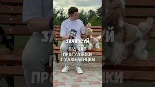 Сушені чипси зі свіжого м'яса від Practik