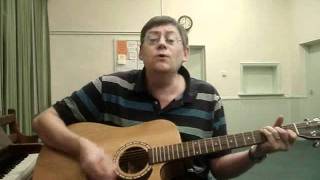 flying john elton bird acoustic