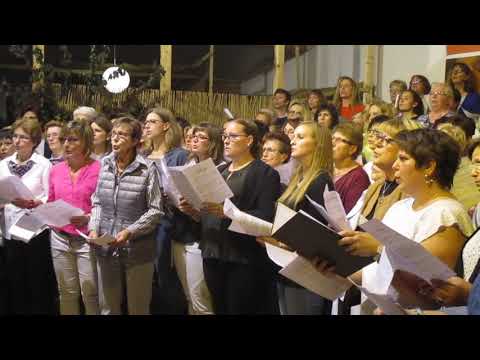 Der größte Frauenchor der Pfalz beim MGV "Frohsinn" in Hermersberg: "Halleluja" von Leonard Cohen