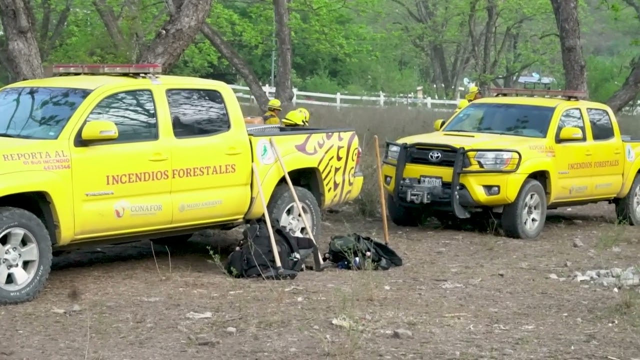 Incendios Forestales: Unión a través de la fuerza