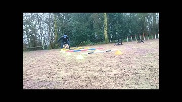 Flash Training Jan 2015 - Jump work, 2on 2off and running contacts