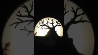 Karagöz - Sihirli Lamba - Cengiz Özek