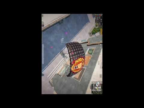 IMG 0314