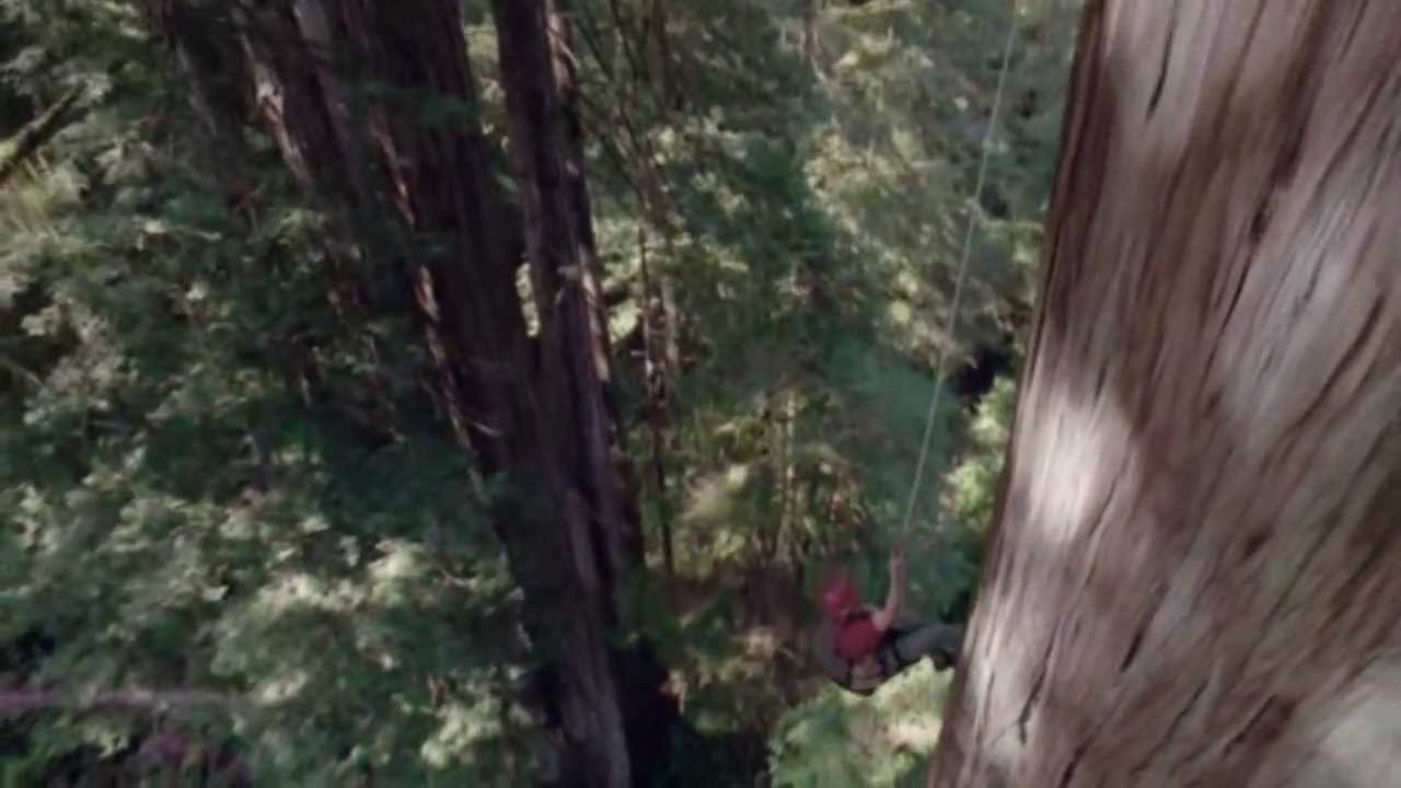 Specter - Bustin A Step