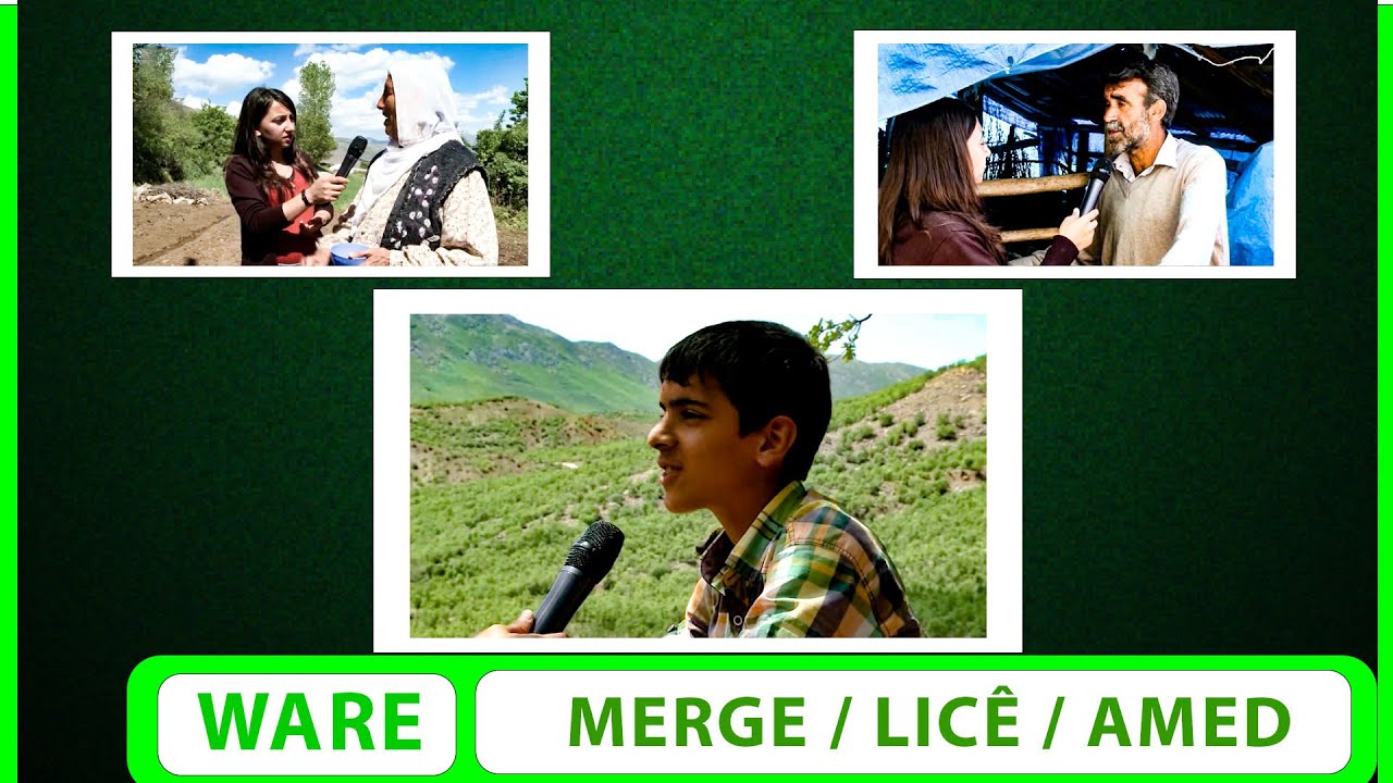 WARE - MERGE / LICÊ / AMED