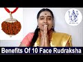 Benefits Of 10 Face Rudraksha in English | Adhi Siddha Yogi | Ten Mukhi Ruthratcham