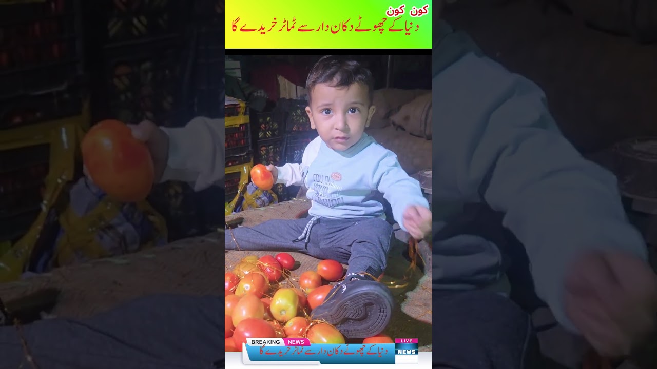 Vegetable Rate Today and Tomato Price Lahore Sabzi Mandi | Amar Ali | چھوٹا دکان دار عمیر کے ساتھ
