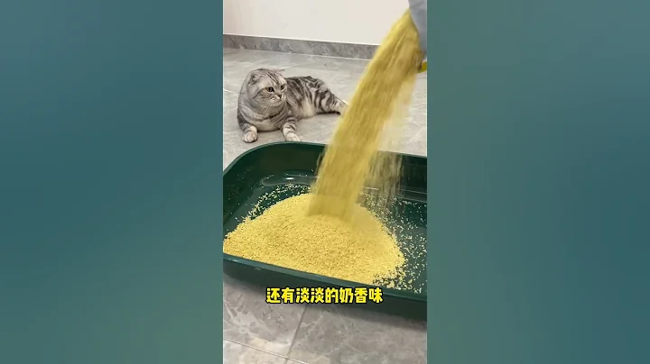 【布爸的好物推荐】这真是一款除臭又没灰尘的宝藏猫砂呀！ - 天天要闻