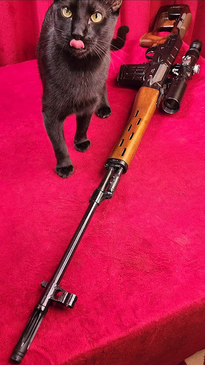 NDM-86 Dragunov Accuracy Test