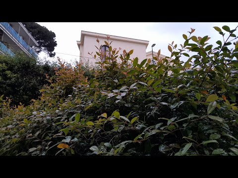Rainy day vlog | rainy sesion?
