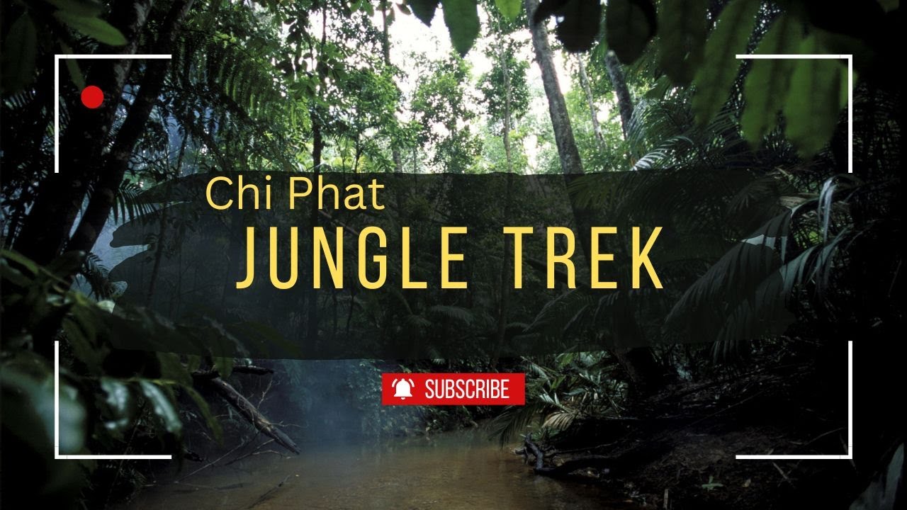 Chi Phat Jungle Trek