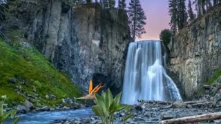 story wa rohani Kristen happy Sunday 😇⛪