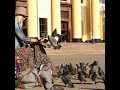 Голуби Виктор Петлюра и Анна Воробей Голуби Виктор Петлюра и Анна Воробей