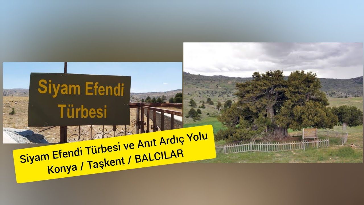 Konya Taşkent Balcılar 'Siyam Efendi ve Anıt Ardıç' Yolu Nasıl Merak Edenler İzleyebilir #seyahat