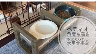 ペティオ 角度も高さも変えられる 犬用食事台