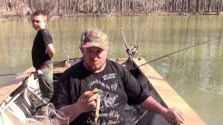 Myth Or Fact, Banana Bad Luck On A Fishing Boat??