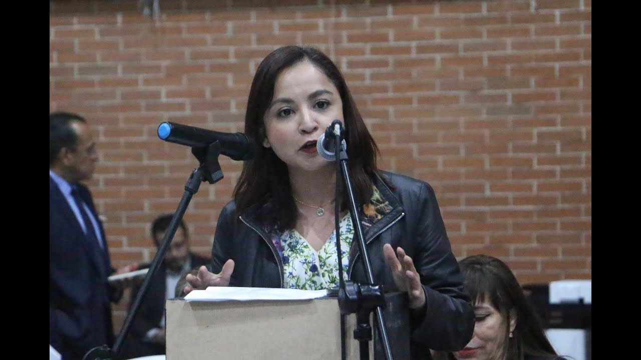 Dip. Irais Virginia Reyes De la Torre (MC) / En contra del dictamen de ...