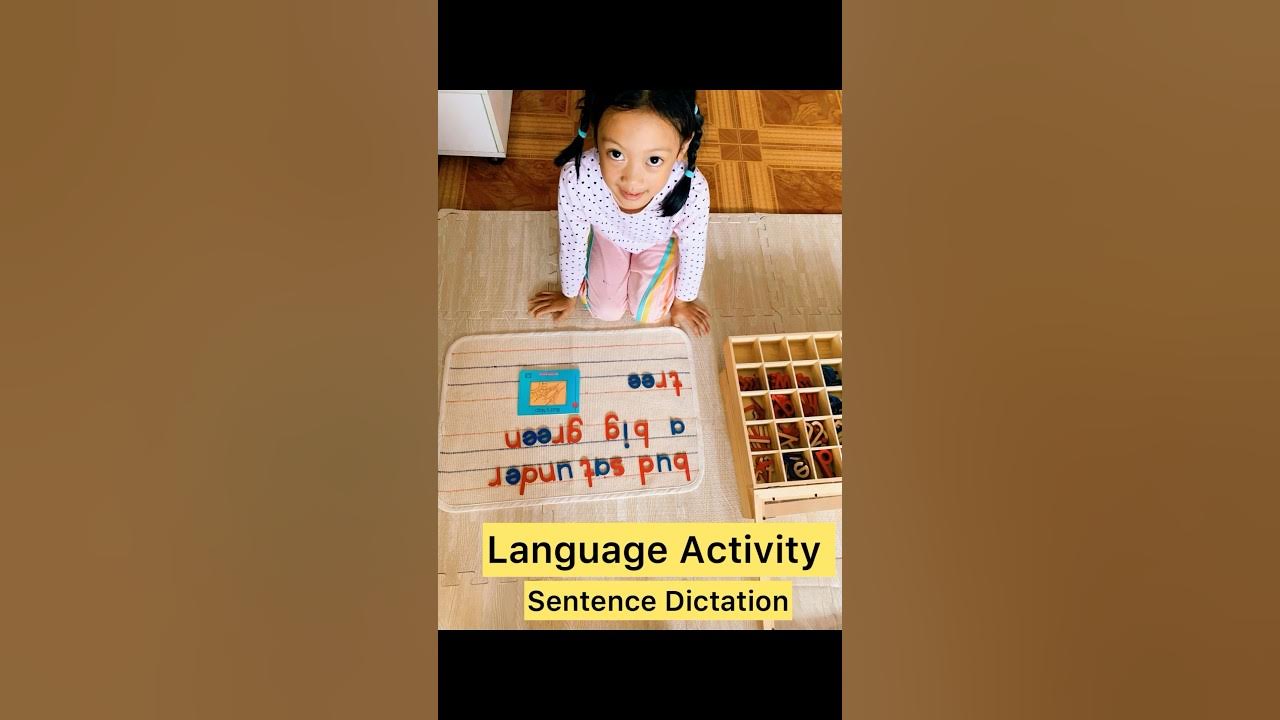 Language Activity Movable AlphabetSentence Dictation shorts 