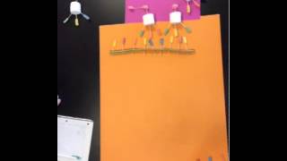 Candy Protein Synthesis