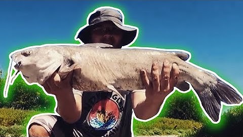 How to Catch Channel Catfish on ANY River System (Riffle, Hole, Run)
