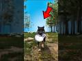 This Dog Uncovered a Dark Secret😱