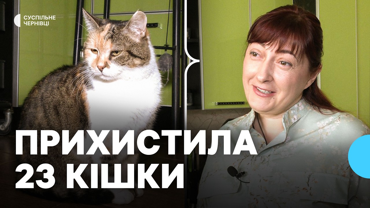 Чернівчанка облаштувала вдома прихисток для котів та допомагає знайти їм родину